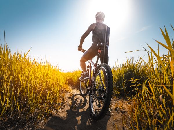 Dlaczego jazda na rowerze to idealna aktywność na świeżym powietrzu dla Twojego ciała